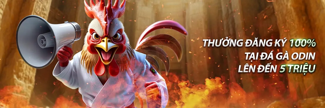 Đá Gà Trực Tuyến VK88 - Trận Đấu Kịch Tính